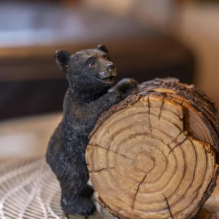 Chaletu Cozy Bear By Interhome